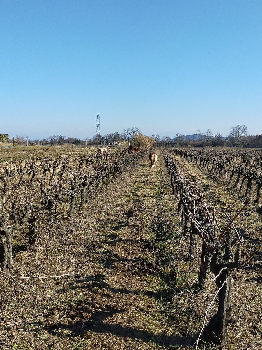 Hiver au domaine